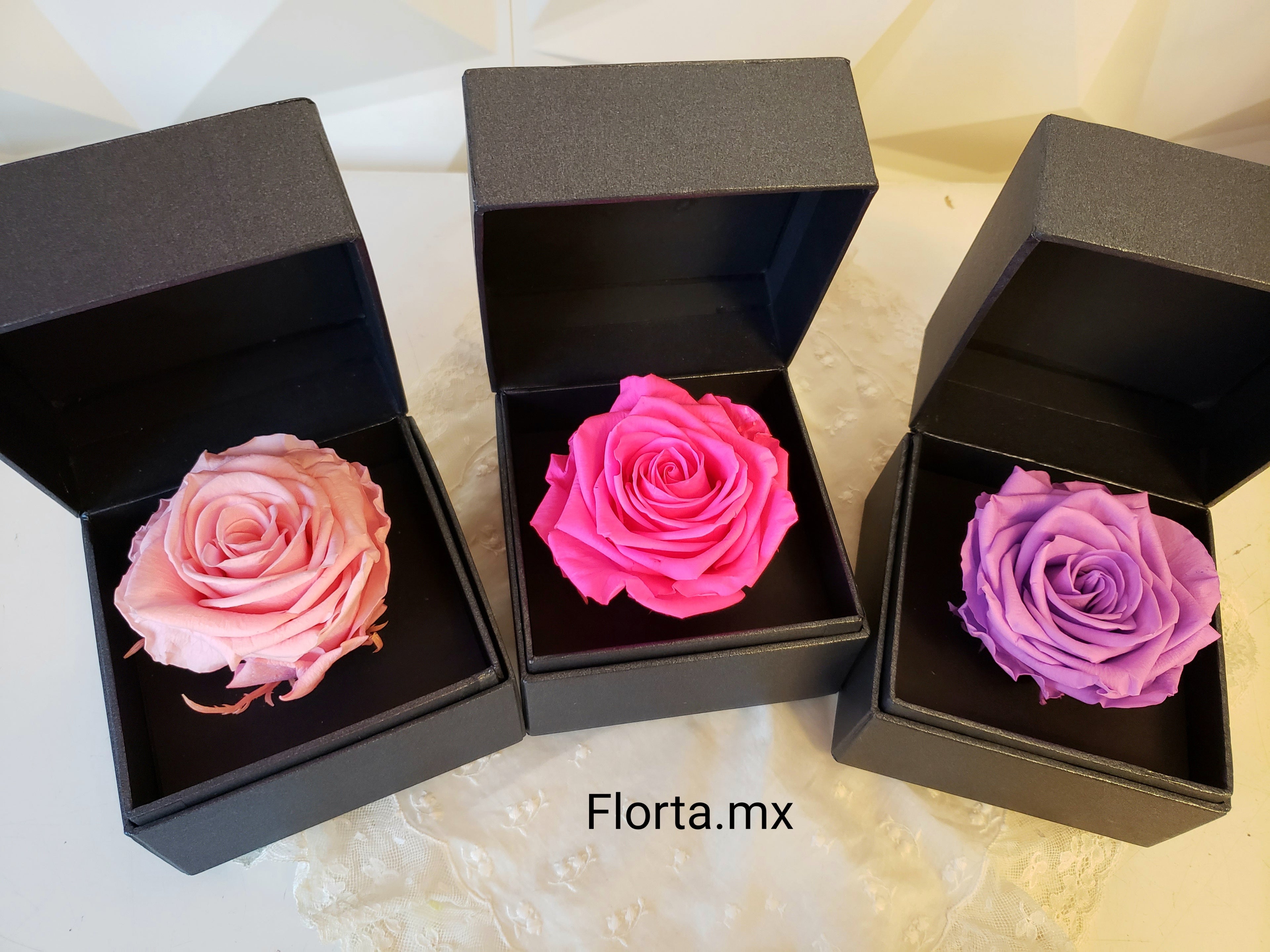 Rosa Preservada Lila