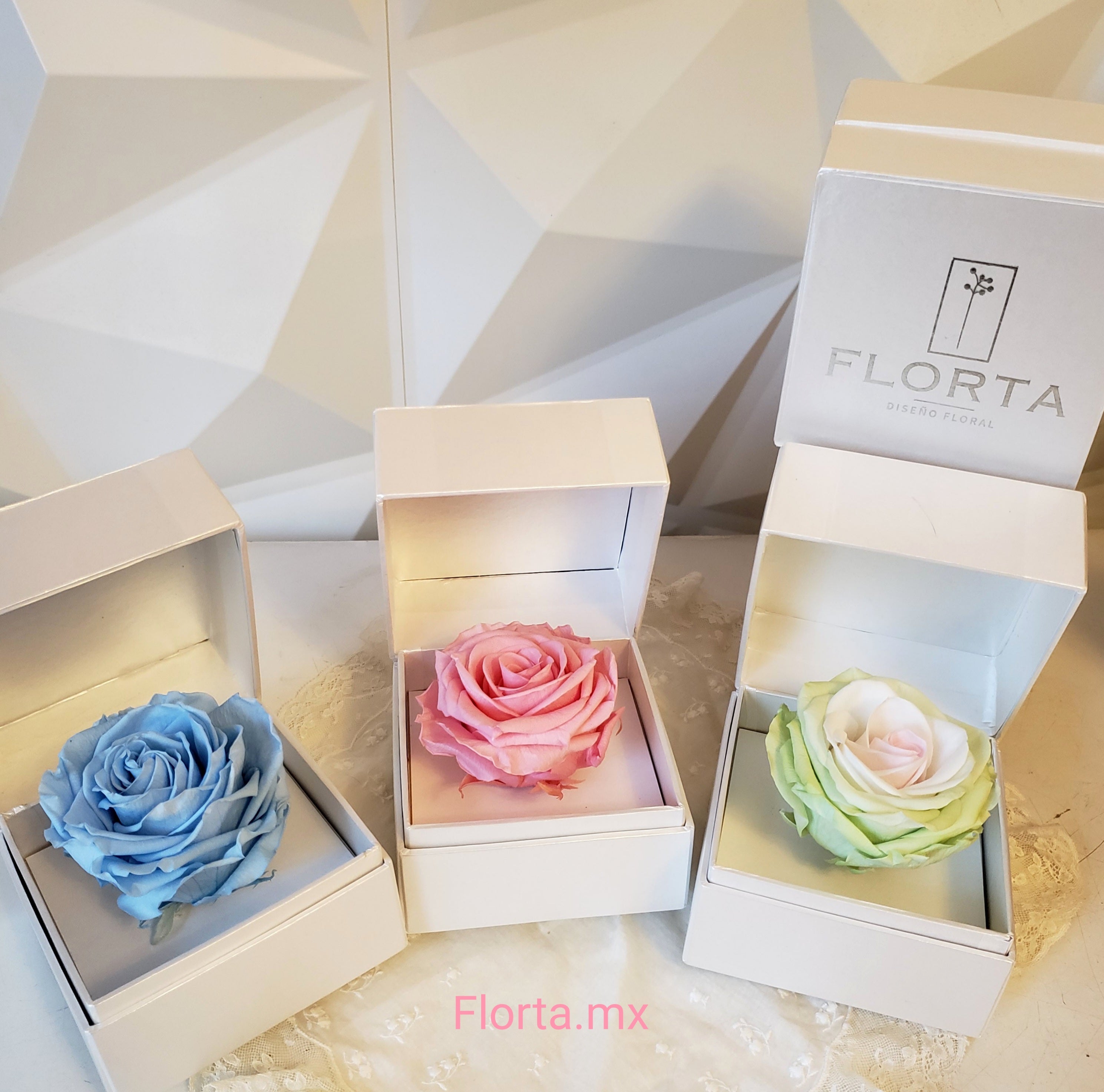 Rosa Preservada Baby Girl Bicolor