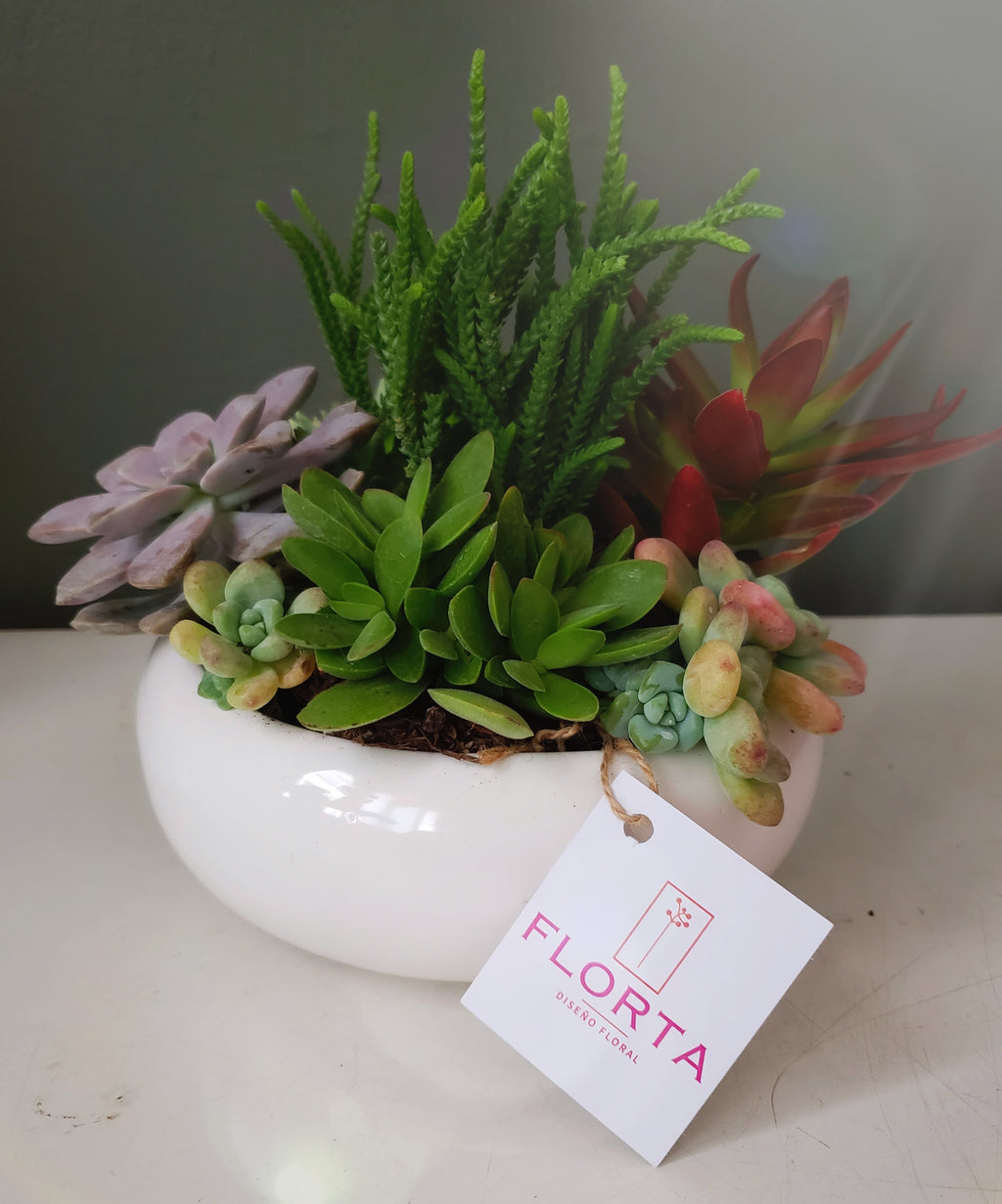 Mi primer Terrario