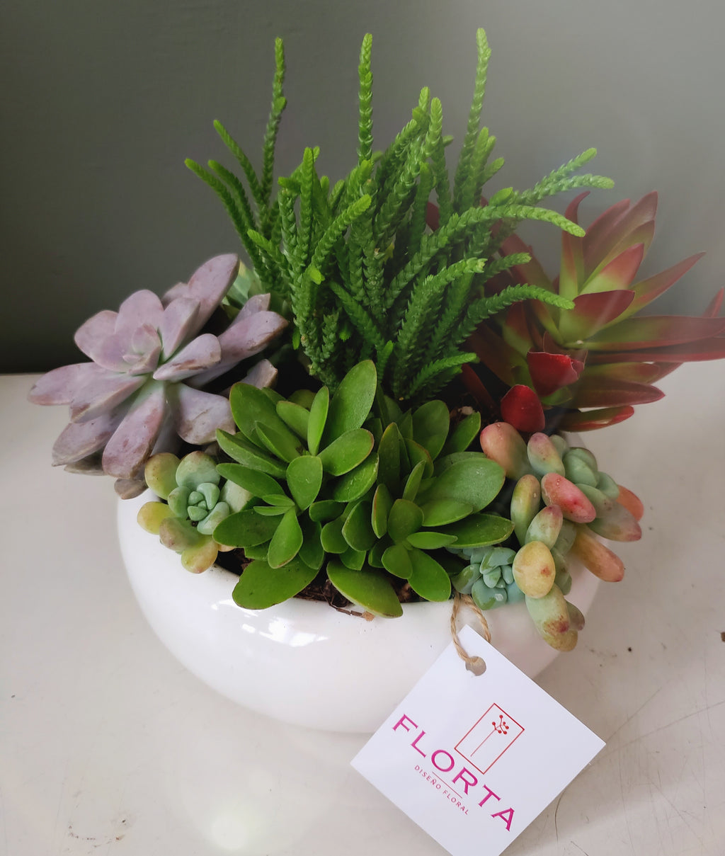 Mi primer Terrario