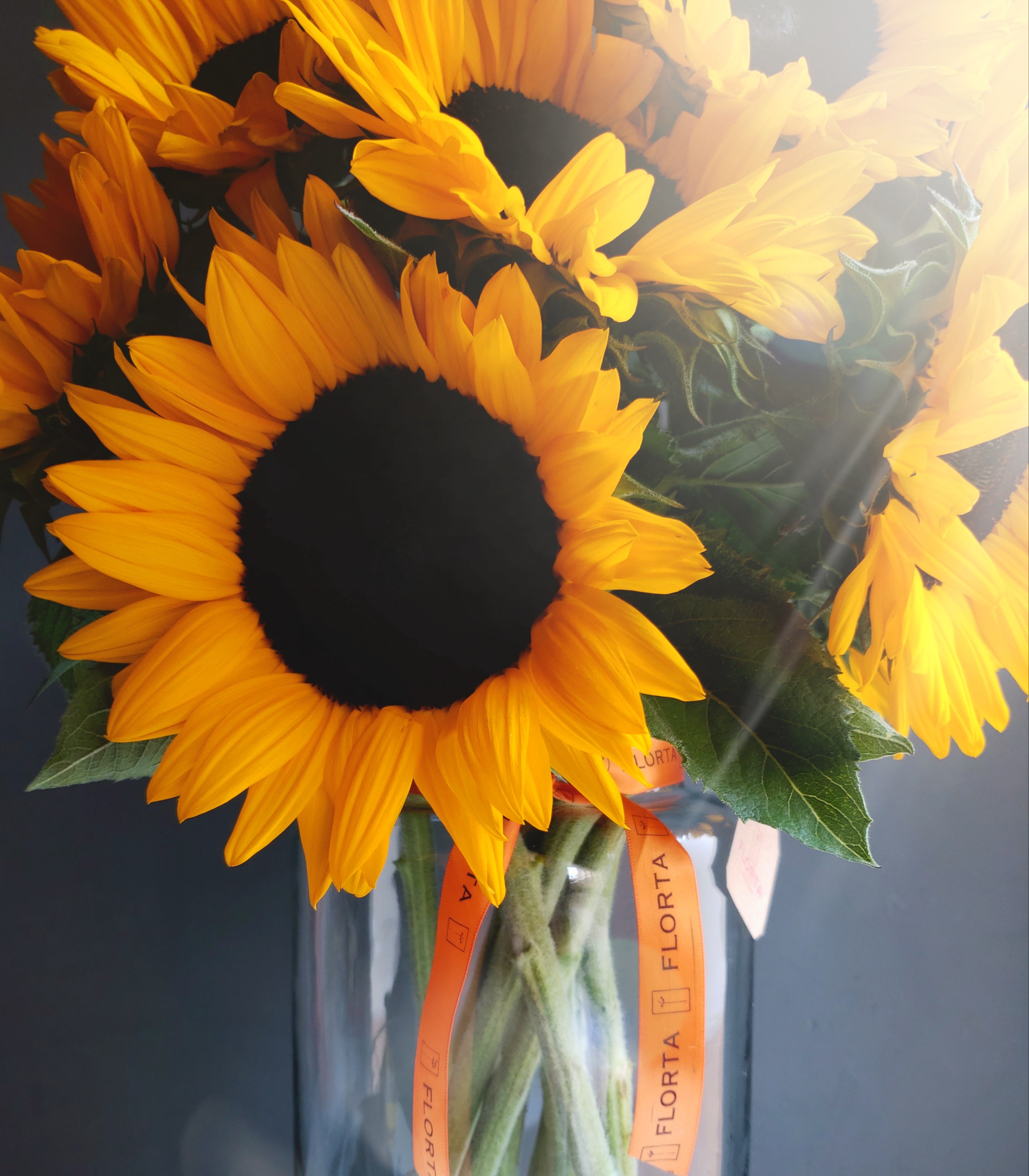 Jarrón Extra Grande Girasoles