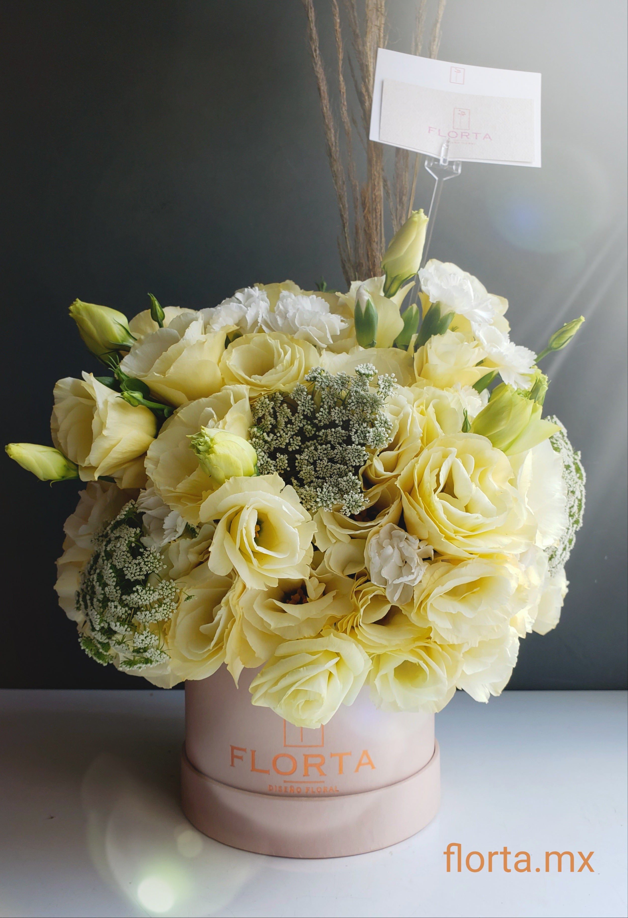 Box Crema