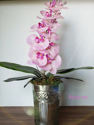 Orquídea Rosa