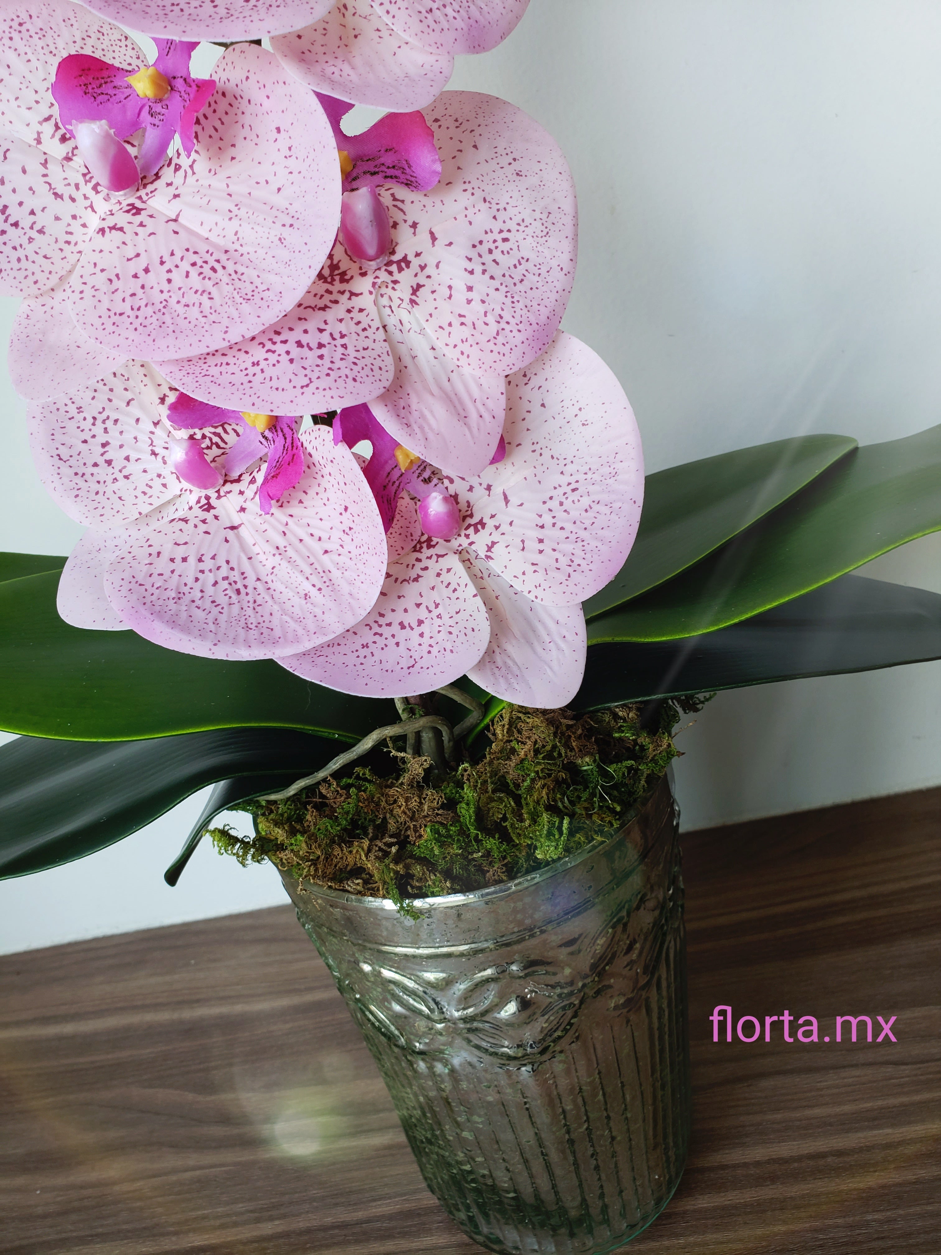 Orquídea Rosa