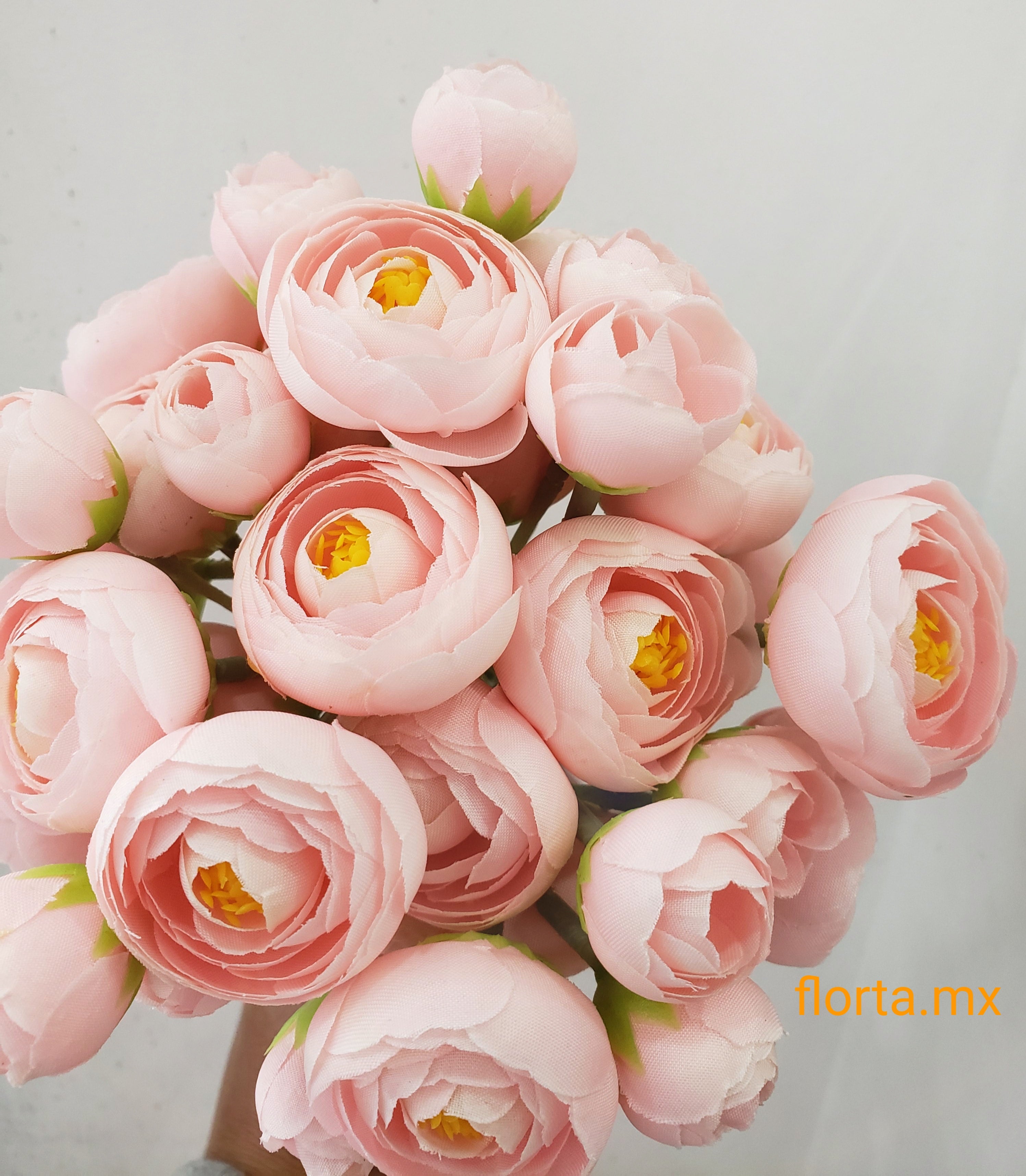 Ranuculus
