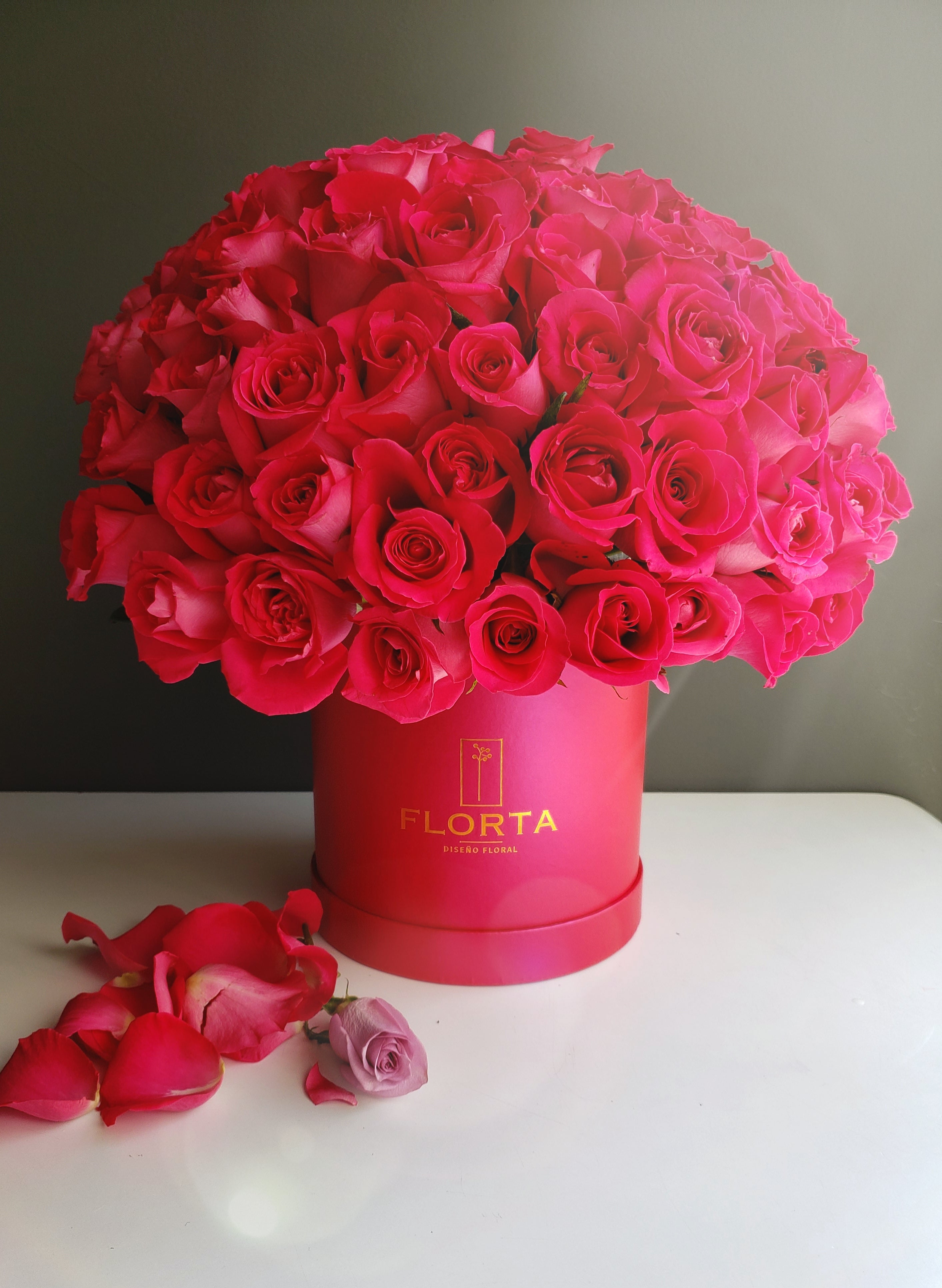 Box Fucsia