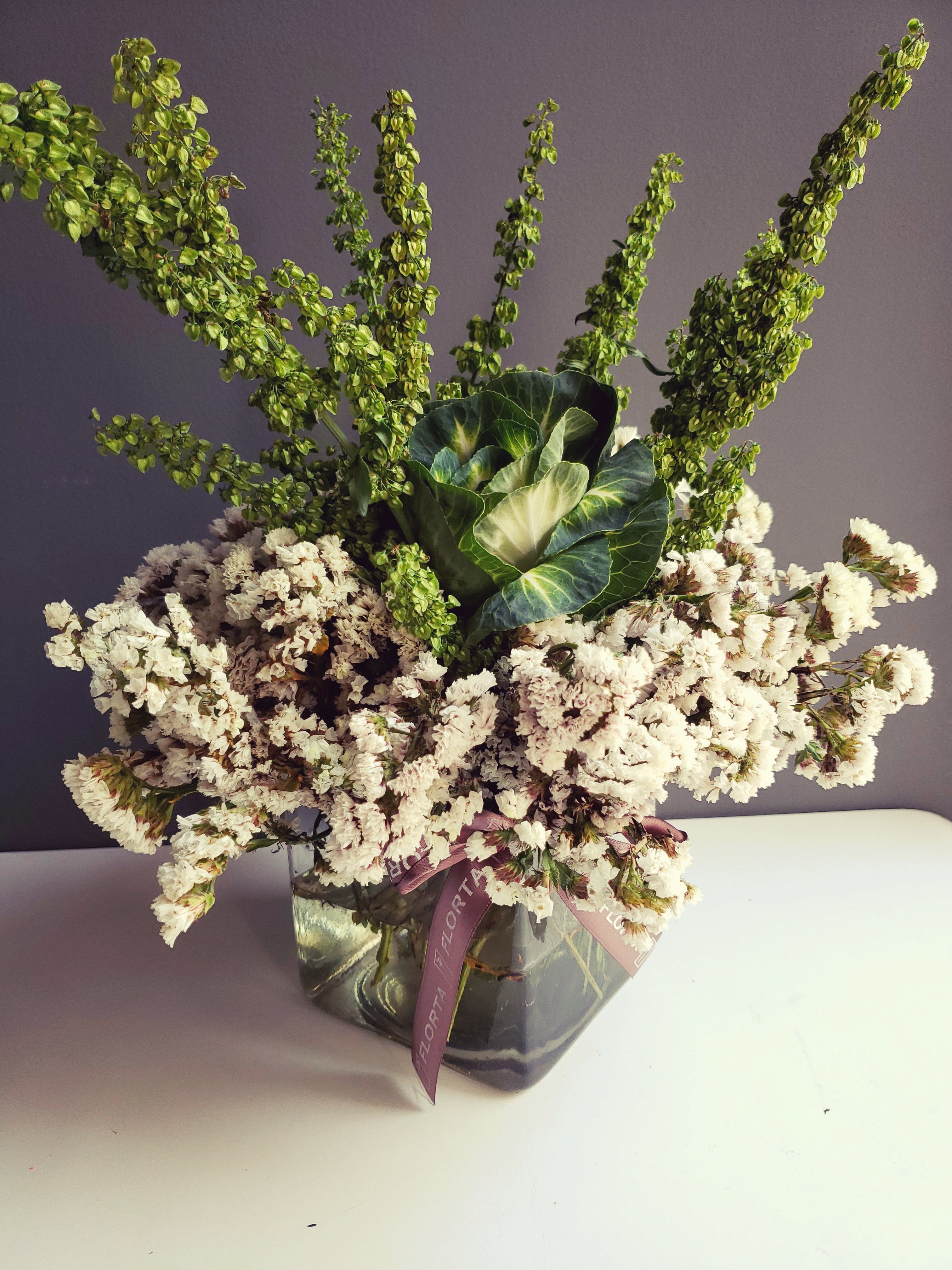 Cubo de Brassica
