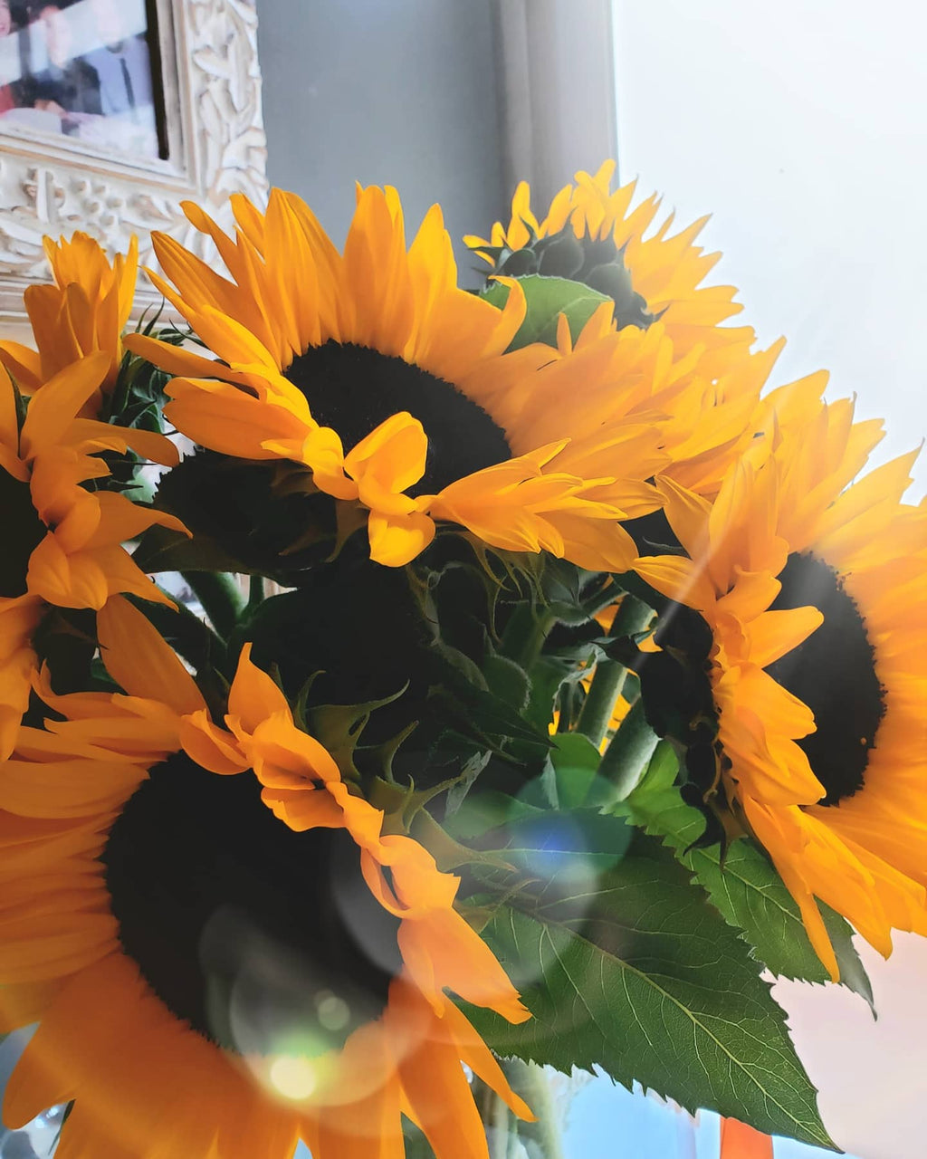 Jarrón Extra Grande Girasoles
