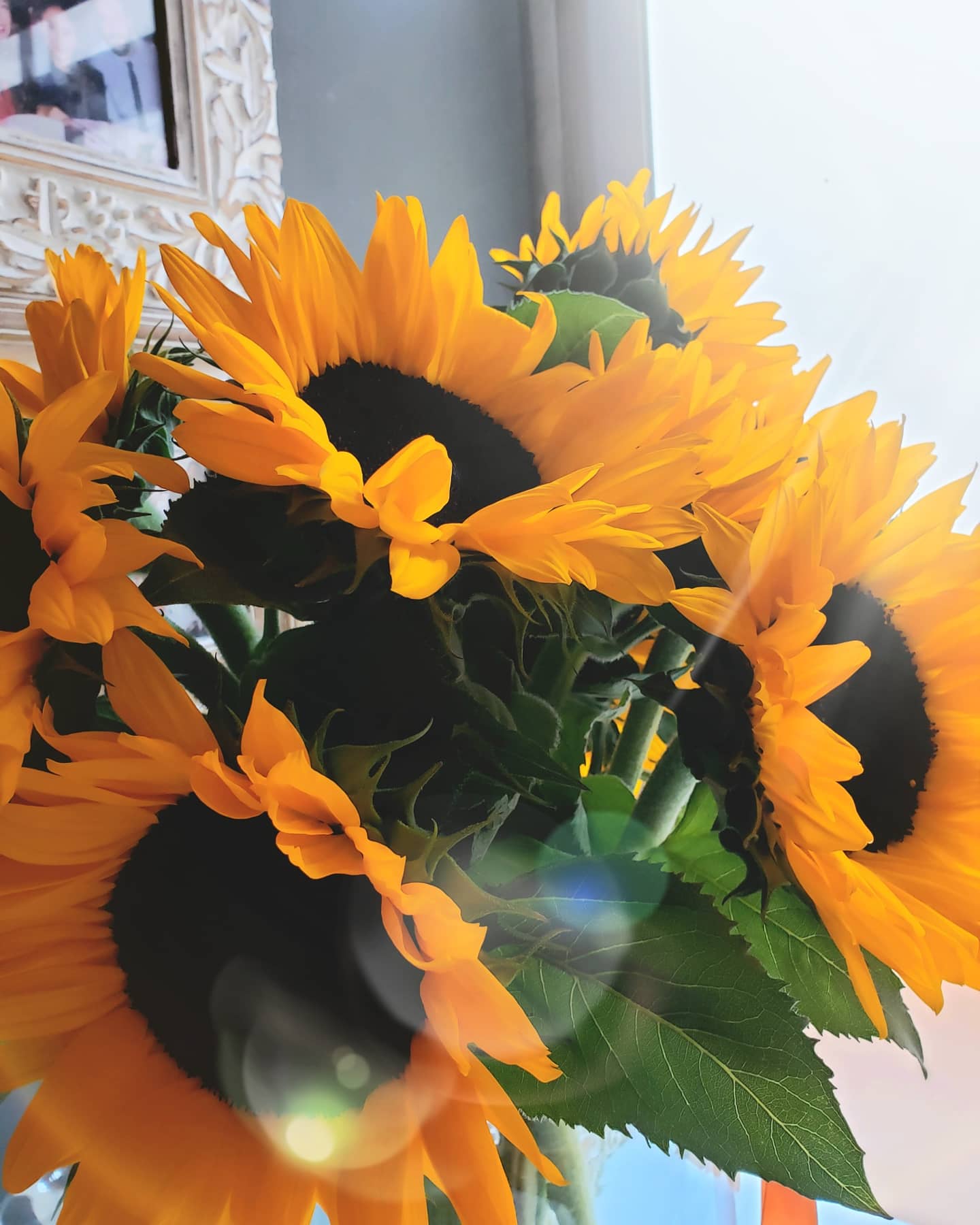 Jarrón Extra Grande Girasoles