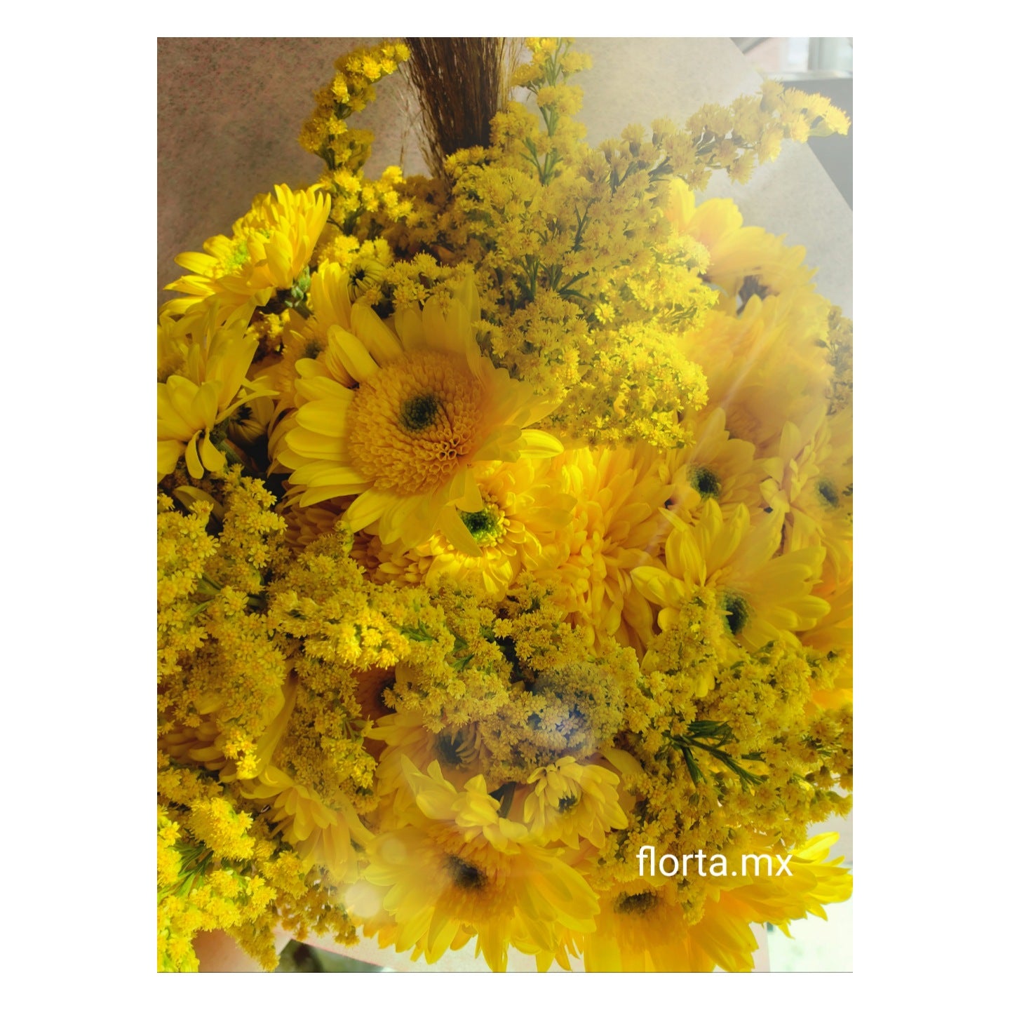 Florero Sorpresa